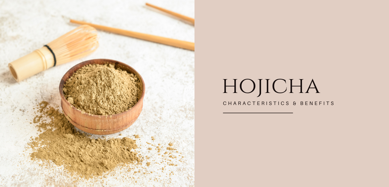 Hojicha - Characteristics and It's Benefits