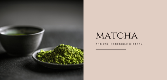 Matcha Powder and Its Incredible History