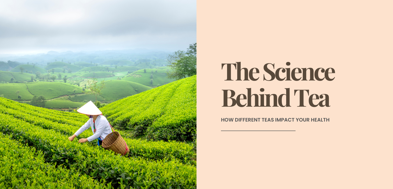 The Science Behind Tea: How Different Teas Impact Your Health