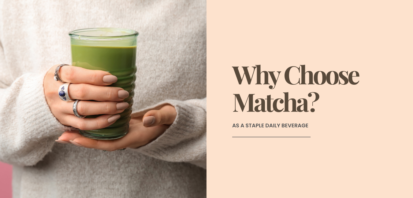 Why Choose Matcha As Your Staple Daily Beverage?
