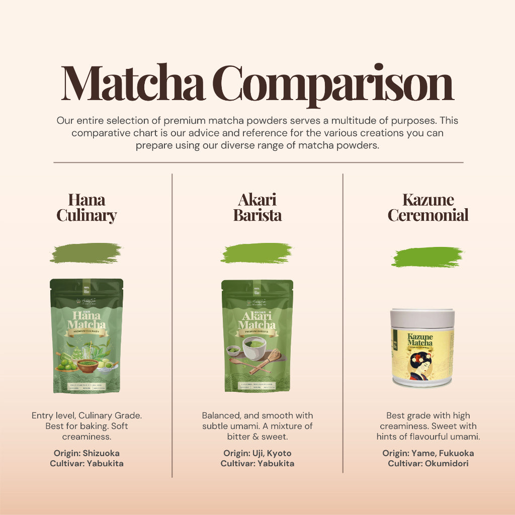 Honestea Matcha Explorer Pack